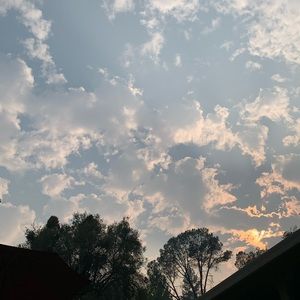 Meet your Posher, Nyesha